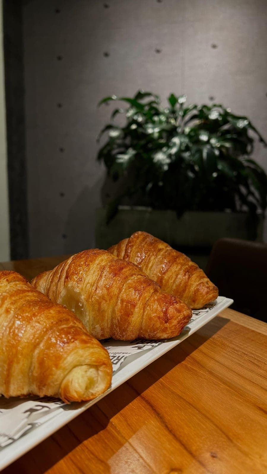 Fresh croissants at Cabrera Coffee Brew House, Via Argentina, El Cangrejo, Panama City