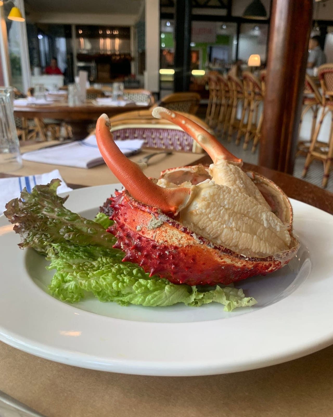San Blas king crab at Market, Bella Vista, Panama City