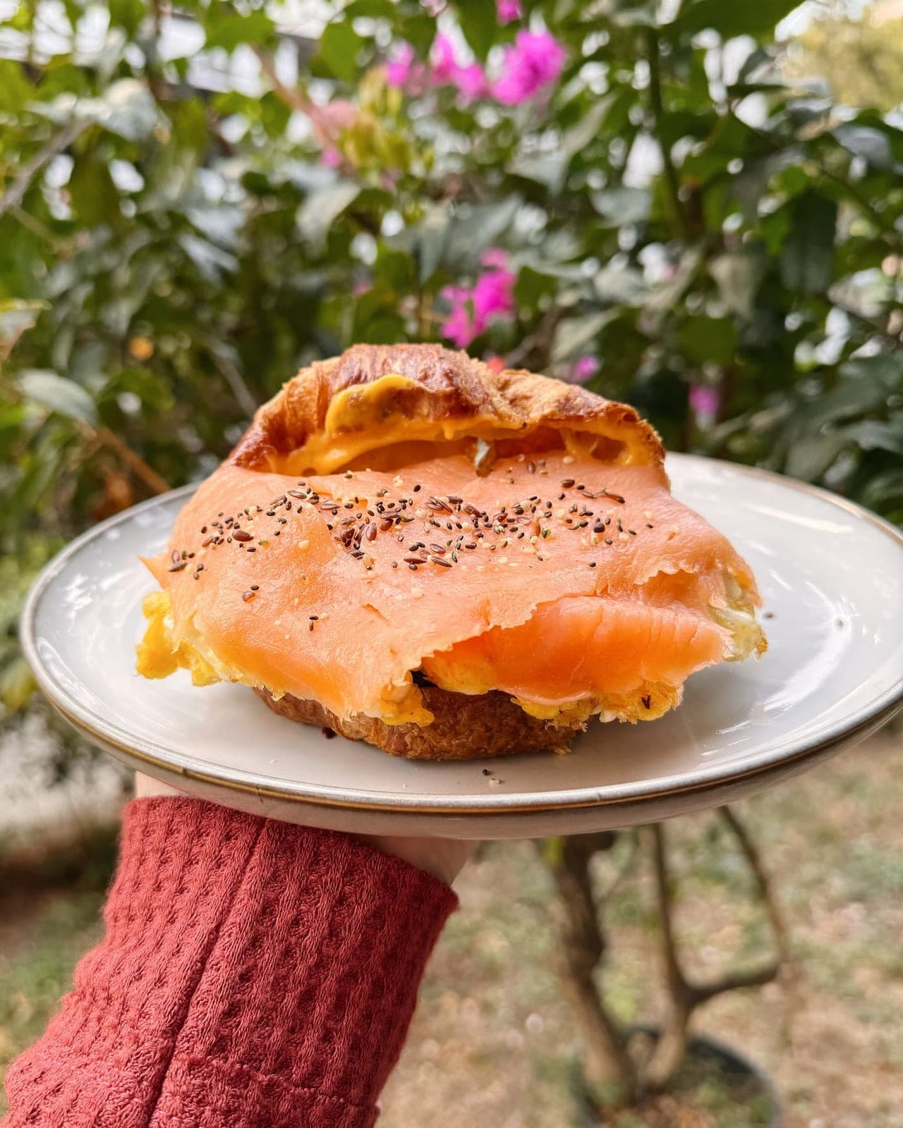 Croissant de salmón ahumado en Mentiritas Blancas, Vía Argentina, El Cangrejo, Ciudad de Panamá