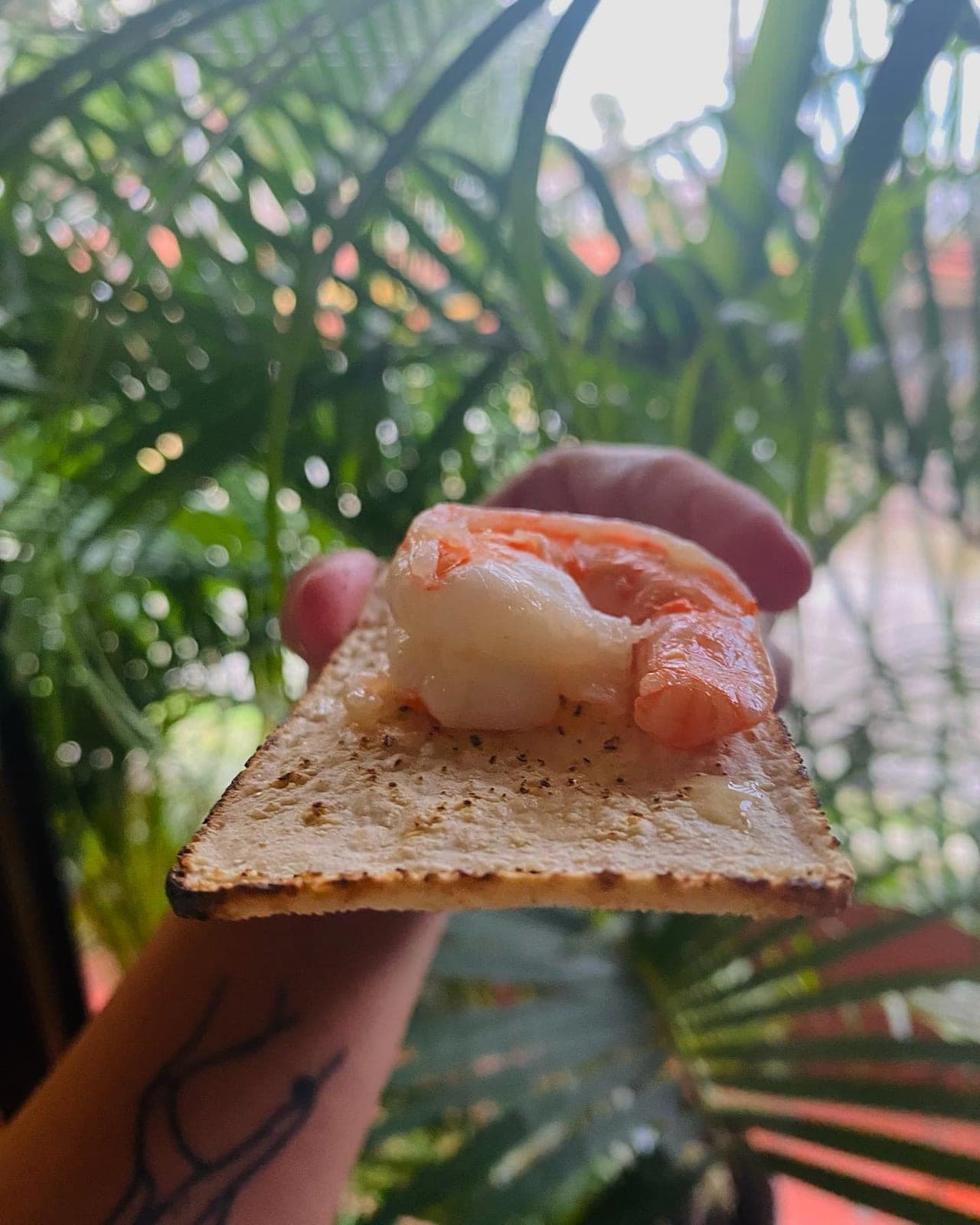 Ceviche de langostino en Olivares Seafood, Mercado de Mariscos, Ciudad de Panama